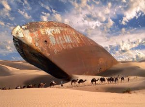 pétrolier, désert, caravane de dromadaires