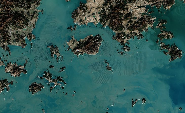 algues nori corée sud