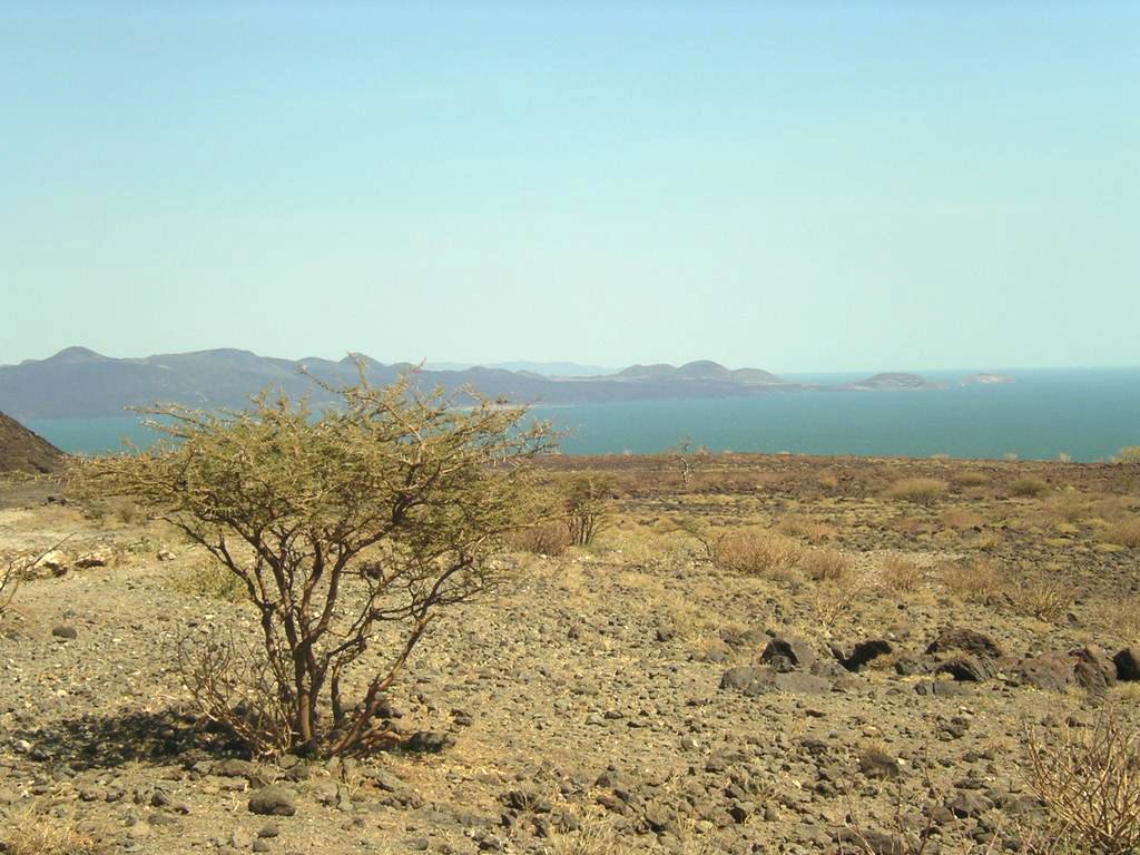 Lac Turkana Berceau Humanité